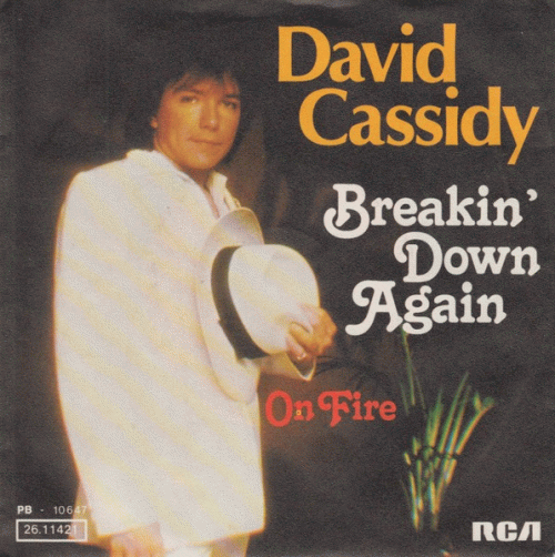 David Cassidy : Breakin' Down Again